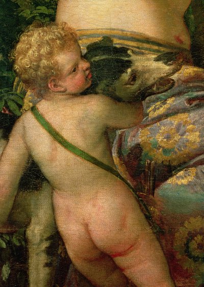Cupid, detail from Venus and Adonis (detail) by Paolo Veronese